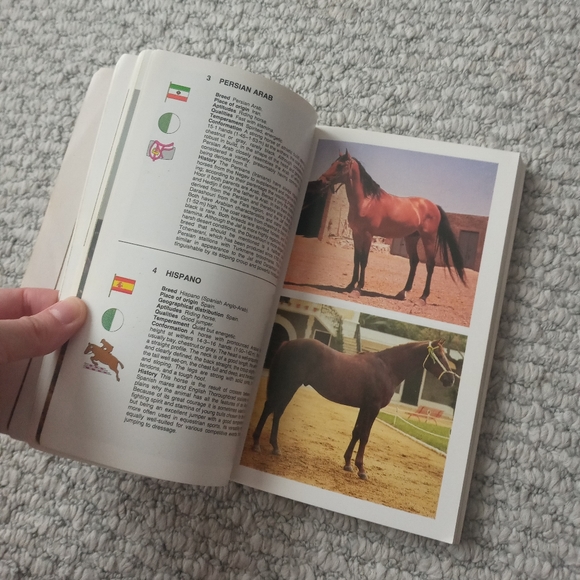 Horses/Ponies Of The World - Picture 3 of 6